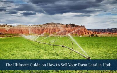 The Ultimate Guide on How to Sell Your Farm Land in Utah